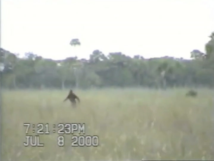 Dave Shealy's 2000 Skunk Ape Clip Smithsonian Magazine