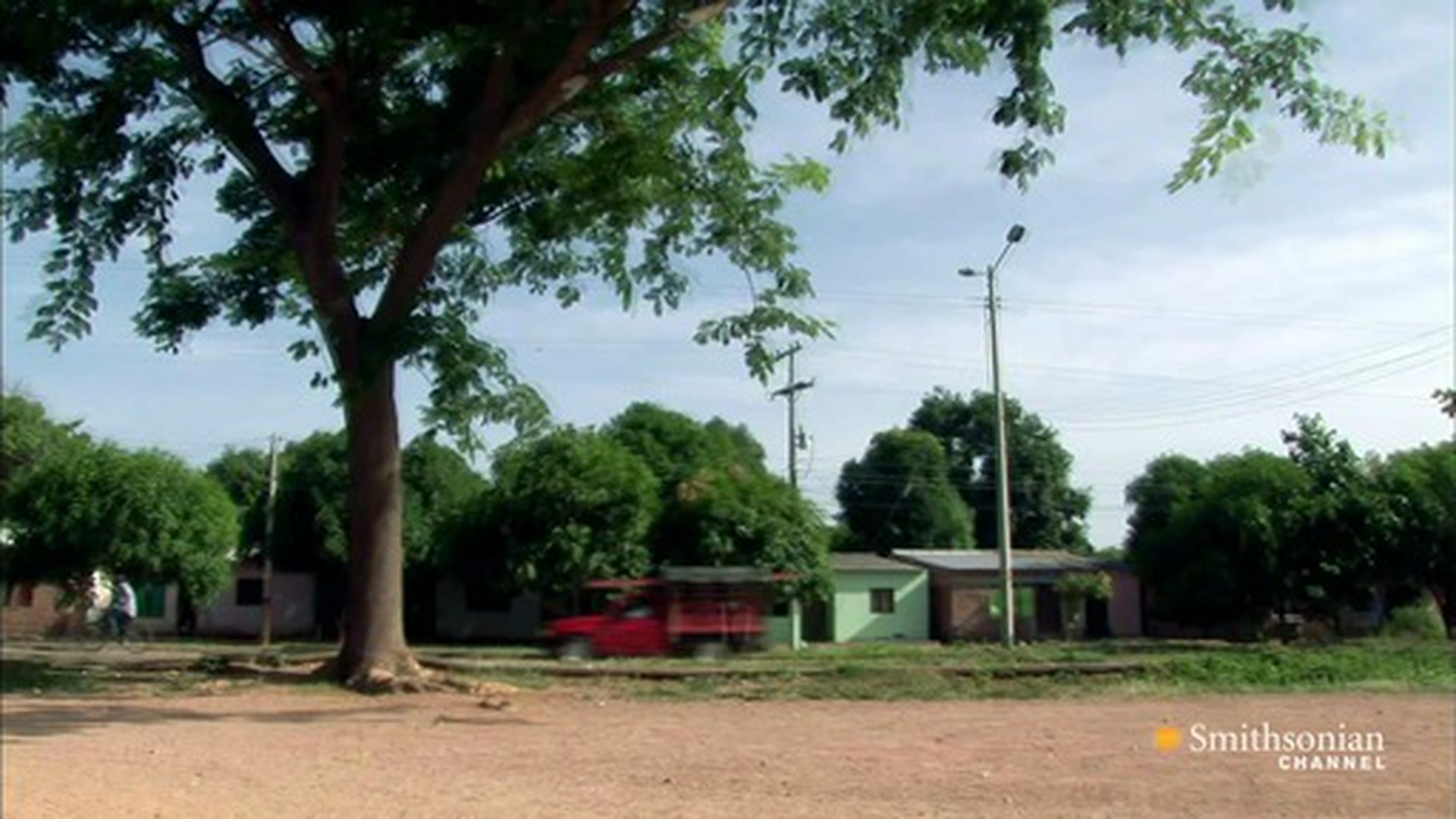 The Accordion Queen Smithsonian Magazine
