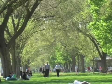 America's Backyard Smithsonian Magazine