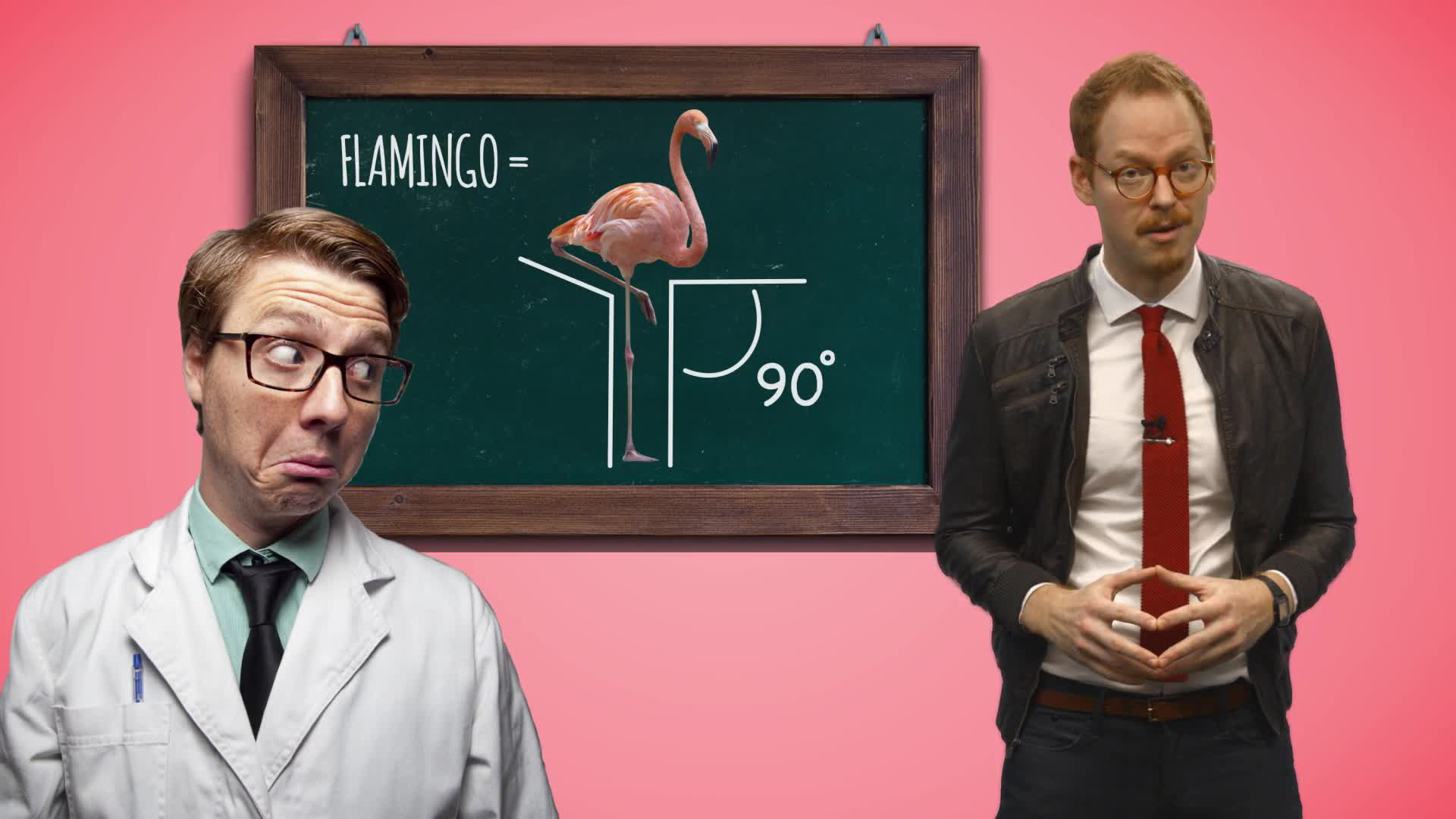 Ask Smithsonian: Why Do Flamingos Stand On One Leg? Smithsonian Magazine