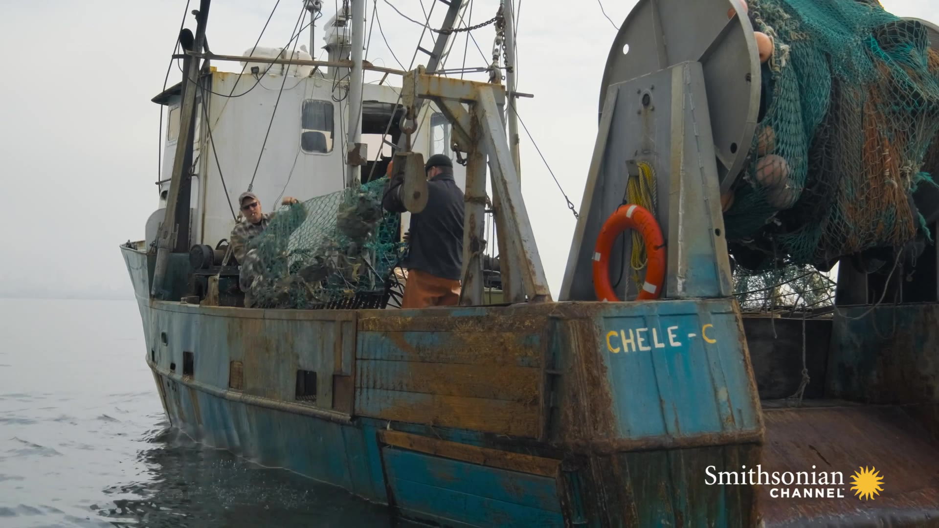 How "The Billion Oyster Project" Aims to Clean Up New York's Water